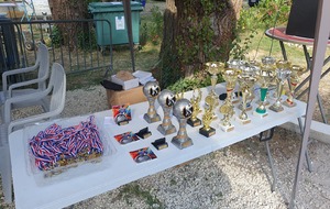 RECOMPENSES TROPHEES, COUPES ET MEDAILLES